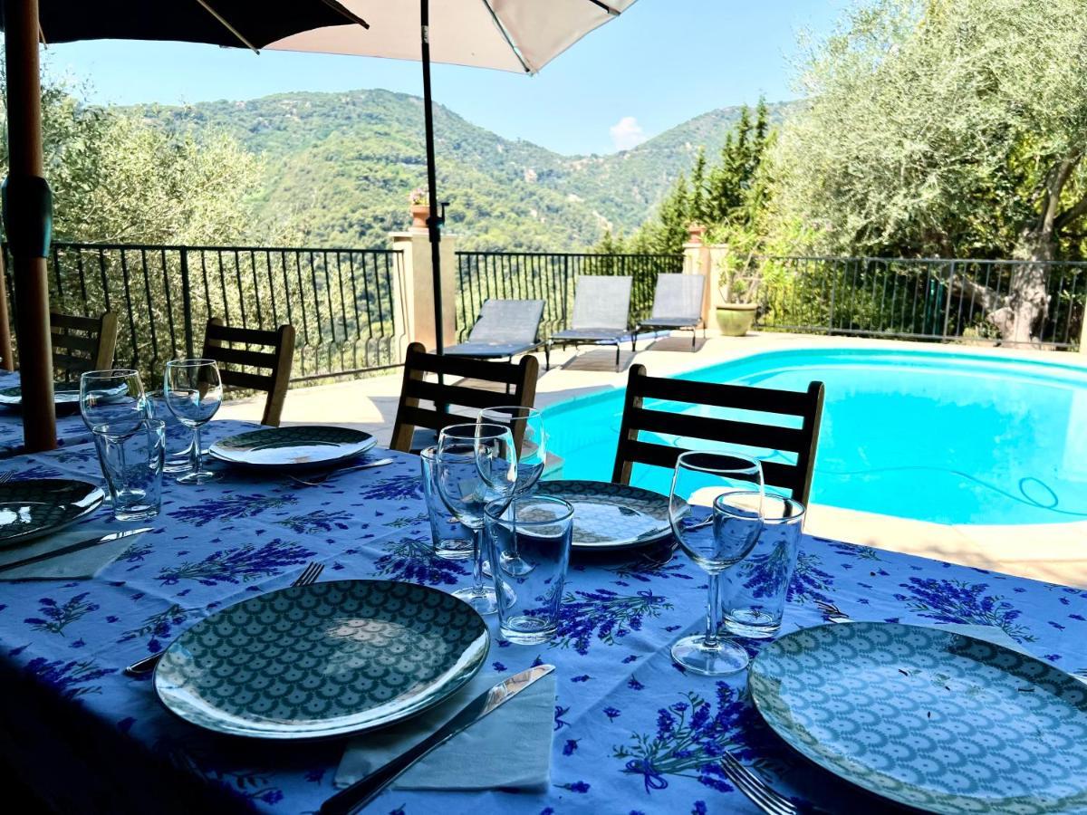 Entre Nice Et Monaco Grande Villa Avec Piscine Privee 12 Personnes ドゥラップ エクステリア 写真