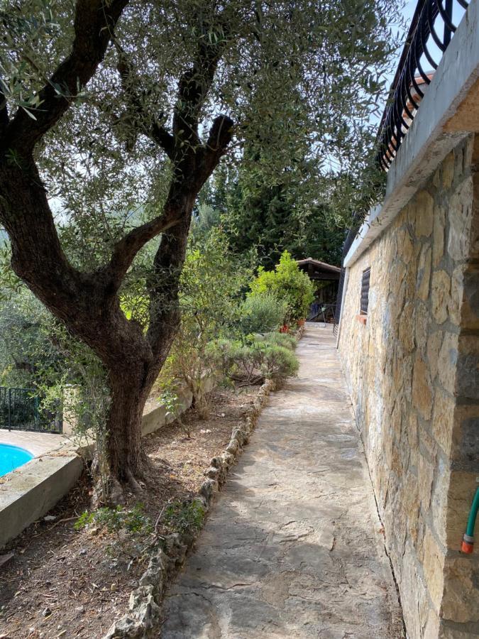Entre Nice Et Monaco Grande Villa Avec Piscine Privee 12 Personnes ドゥラップ エクステリア 写真