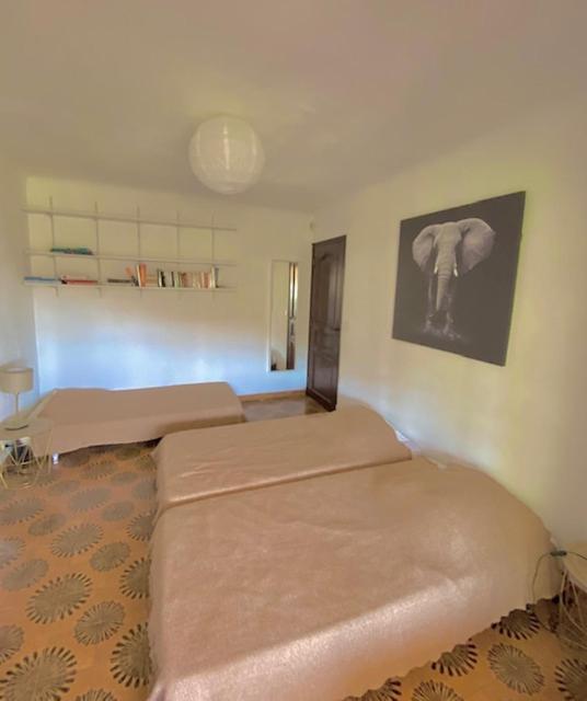 Entre Nice Et Monaco Grande Villa Avec Piscine Privee 12 Personnes ドゥラップ エクステリア 写真