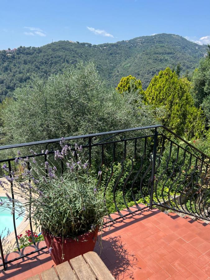 Entre Nice Et Monaco Grande Villa Avec Piscine Privee 12 Personnes ドゥラップ エクステリア 写真